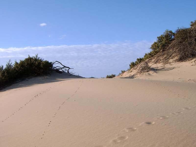 Turismo Rurale La Miniera Fiorita Arbus Εξωτερικό φωτογραφία