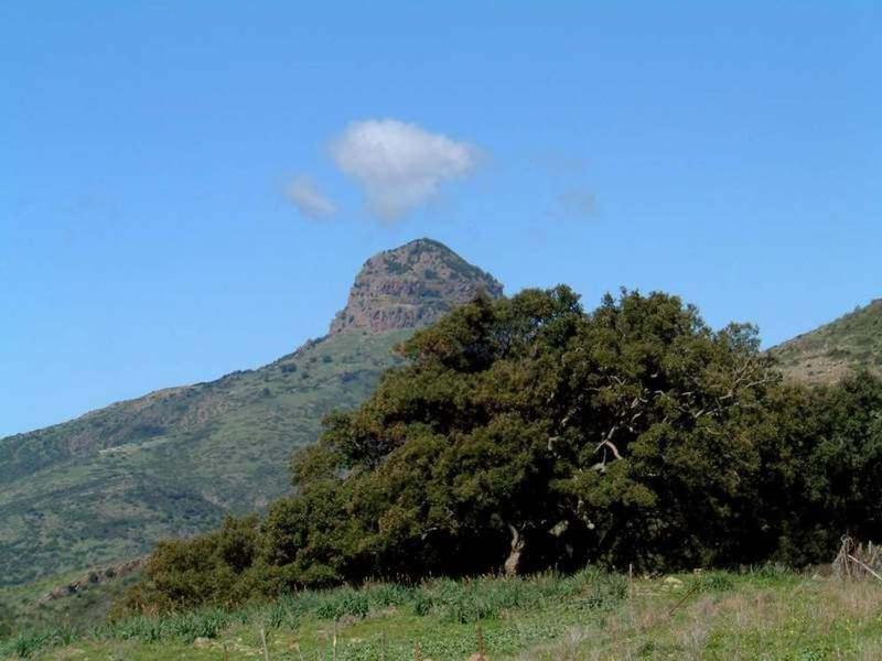 Turismo Rurale La Miniera Fiorita Arbus Εξωτερικό φωτογραφία