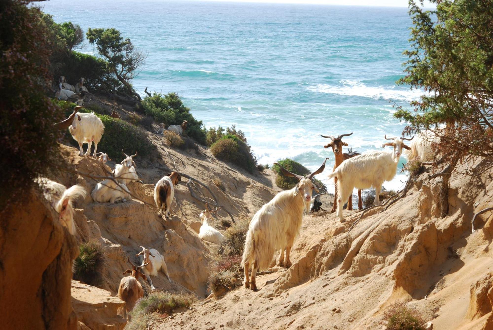 Turismo Rurale La Miniera Fiorita Arbus Εξωτερικό φωτογραφία